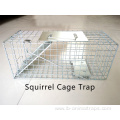 Ground Squirrel Trap Cage Squirrel Trapping Tools